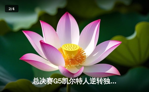 总决赛G5凯尔特人逆转独行侠夺冠 塔图姆31+11当选FMVP - 2